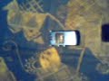 Huber und Hinger - Zaubertrick Hamster2