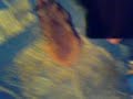 Huber und Hinger - Zaubertrick Hamster2