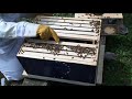 Installing Bees Pt. 2