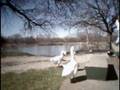 Inexpensive Camera Vivitar Vivicam55- Reviews