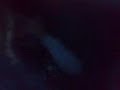 DS LA DRUM A SALAAAD