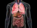Be Safe from Anaphylaxis