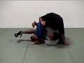 Roy Harris low single mount escape