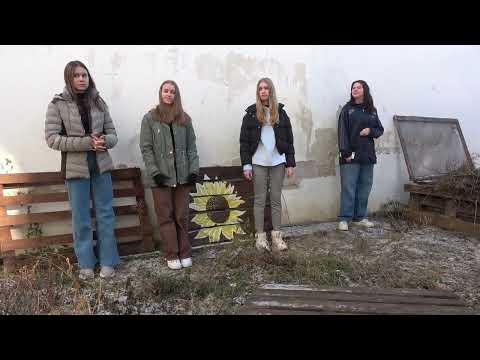 ilustrační obrázek