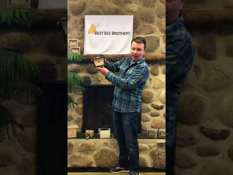 image preview of video showcasing How To Assemble Your Best Bee Trap?