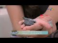15/02/2011 -- Programa Manhã Maior (REDETV!) Sensitiva Márcia Fernandes ensina como limpar e energizar sua casa e seu local de trabalho, livrando você, sua família e seus colegas de maus espíritos.