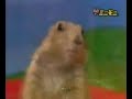 The Dramatic Chipmunk