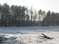 niewodnica 1