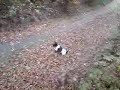 super rudi 2