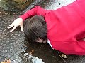 Kate + Puddle = ROFLtime. Kate + Puddle = ROFLtime.