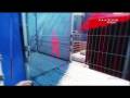 Mirror's Edge Time Trials :: Cranes Two 3 stars
