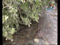 Ana Maria - Los Diamantes de Arequipa
