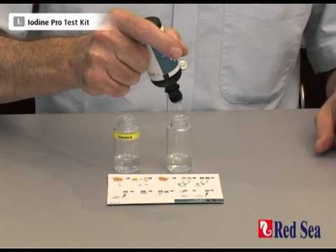 how to self test your iodine levels