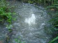 Aqua Bubbles