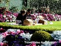 Canada Travel:Travel Victoria-Travel Video PostCard