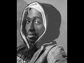 2pac Amaru Shakur (Tributo a 2pac) 2pac Amaru Shakur (Tributo a 2pac)