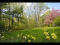 videos de Woodland Contemporary