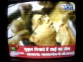 Mumbai to Shirdi with Mukul Nag