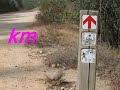 ISRAEL JRUSALEM -HIKING HAR EITAN -SATAF