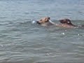 0726@Swimming at Lamma Island-4