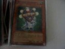 my crystal beasts + synchros deck(almost complete) my crystal beasts + synchros deck(almost complete)