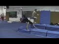 Learning Gainers!
