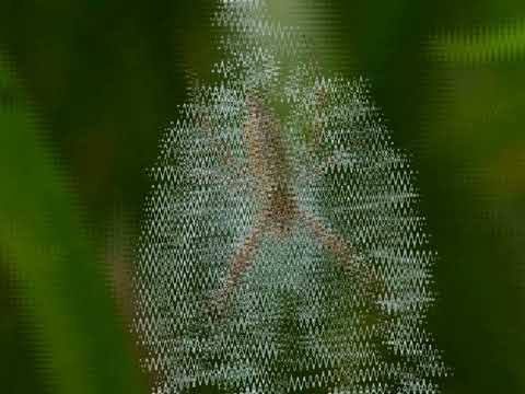 Image: http://img.youtube.com/vi/TUOVsYMJtJg/0.jpg