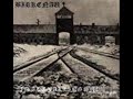 Birkenau ( I shalt become ) - Outro Birkenau ( I shalt become ) - Outro