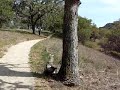 Heilmann Park Walk #1b