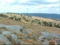 Indian Rocks Walk - Australia