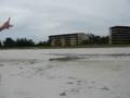 videos de Bird Frenzy round 1