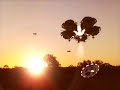 UFO Alien Abduction - Greys vs Reptilians (CG)