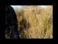 Shahzad Khan, Jungle Adventure, NIH, Chak Shahzad
