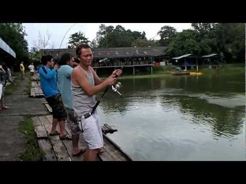 Hat Yai Mekong Fish Funny Fishing ~ patin can not photo episod 2 .mp4
