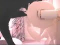 Cat gone wild!