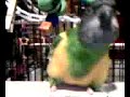 toeless hope dancing # 1