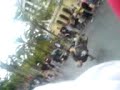 Barcelona break dancing