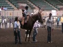 derek riding bo at the special olympics in his western riding class. he won 3rd place