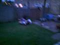 videos de boxing fall over
