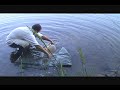     This is a video from a few years back of me and a 36+lb carp and the release.