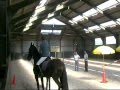 videos de Behendigheidsproef Jibbe