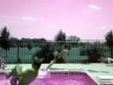 Diving Board Bash V