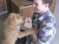 Puppies!