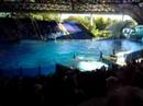 Shamu Believe - Shamu Splash