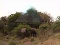 videos de Kruger FCT 2000