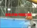 videos de New Revolutions Productions Ident