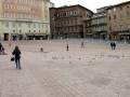 videos de Palio de Siena by irmãs Paoletti