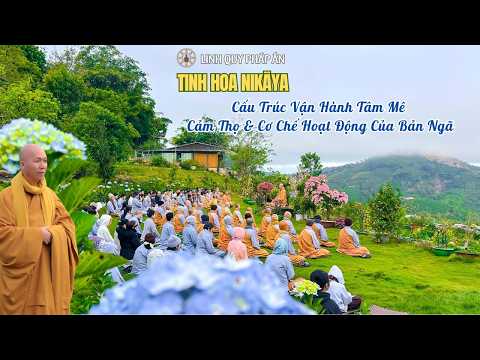 Tinh Hoa NIKAYA - Cấu Trúc Vận Hành Tâm Mê - Cảm Thọ & Cơ Chế Hoạt Động Của Bản Ngã