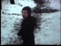 Berkenlaan in Langenboom in 1985