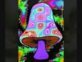 Psicodelia - infected mushroom- becoming insane